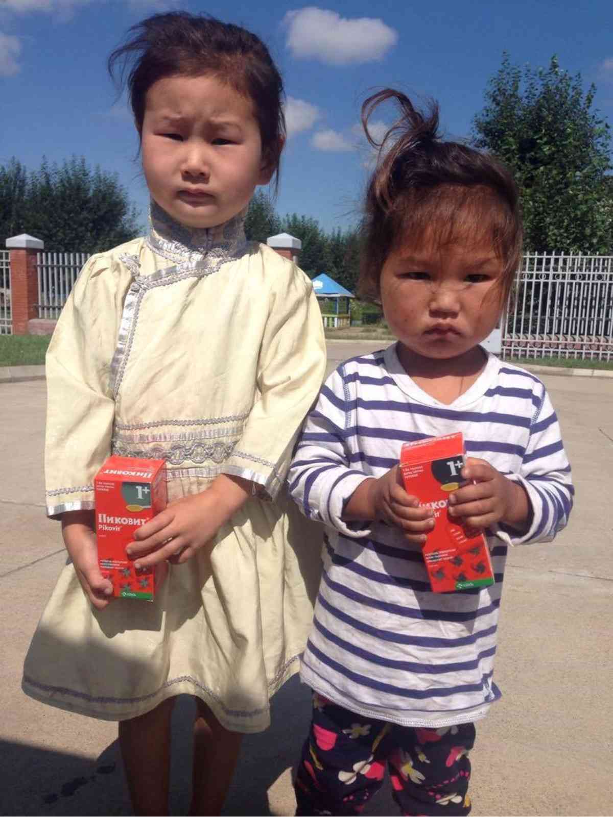 Mongolia Darkhan 1 2017 1